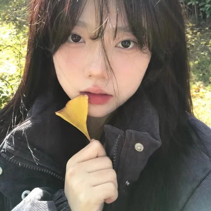 再见琼